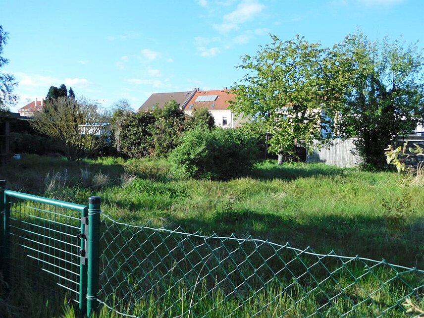 hinter einem Zaun ehemalige Gartenfläche mit Wiese , Bäumen und Sträuchern, im Hintergrund Wohnhäuser